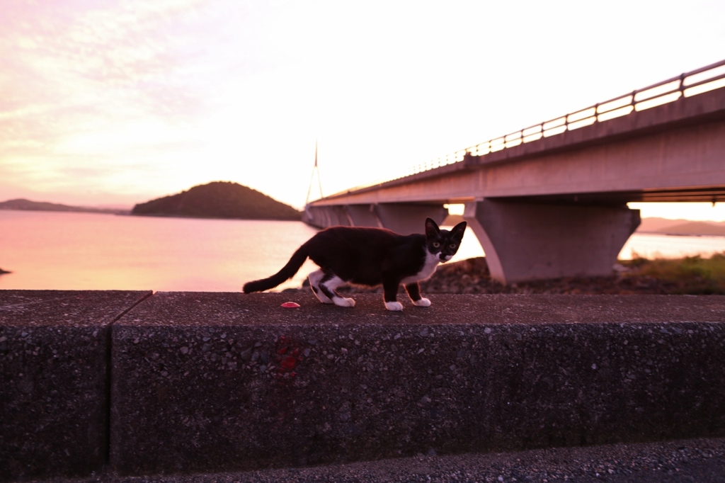 梅雨の夕暮れ　２