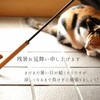 残暑お見舞い申し上げます
