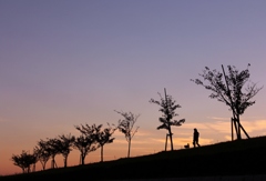 夕暮れの・・・