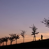 夕暮れの・・・