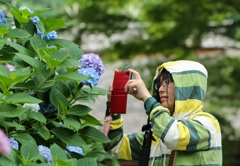 雨にぬれても