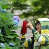 雨にぬれても