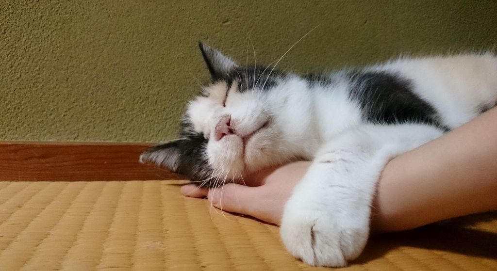 元気です　その２
