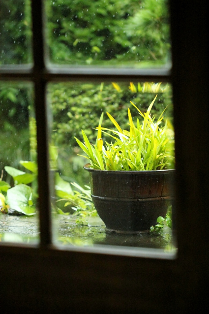 雨の日の庭