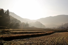 棚田の冬の朝