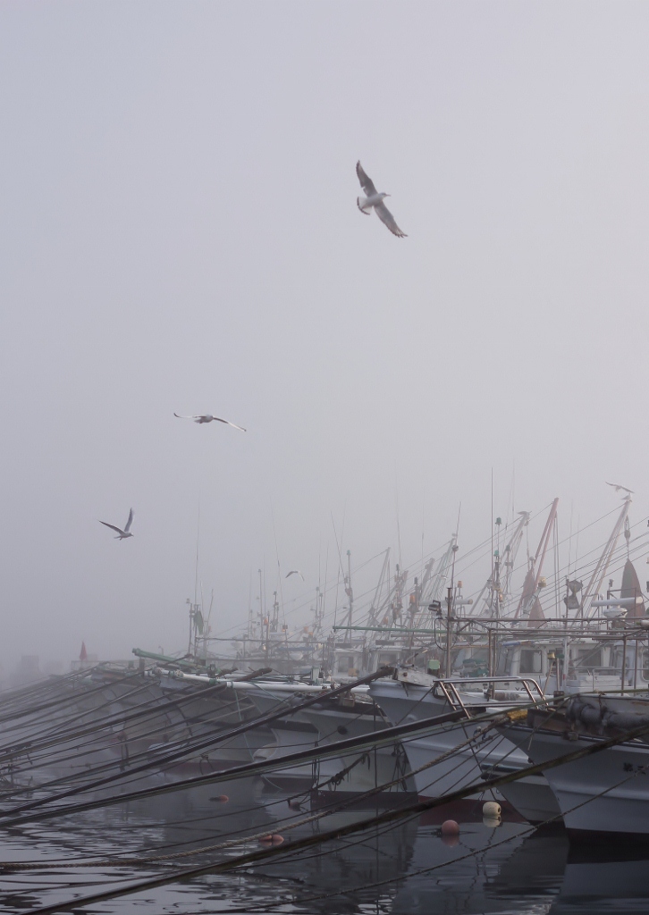 霧の漁港