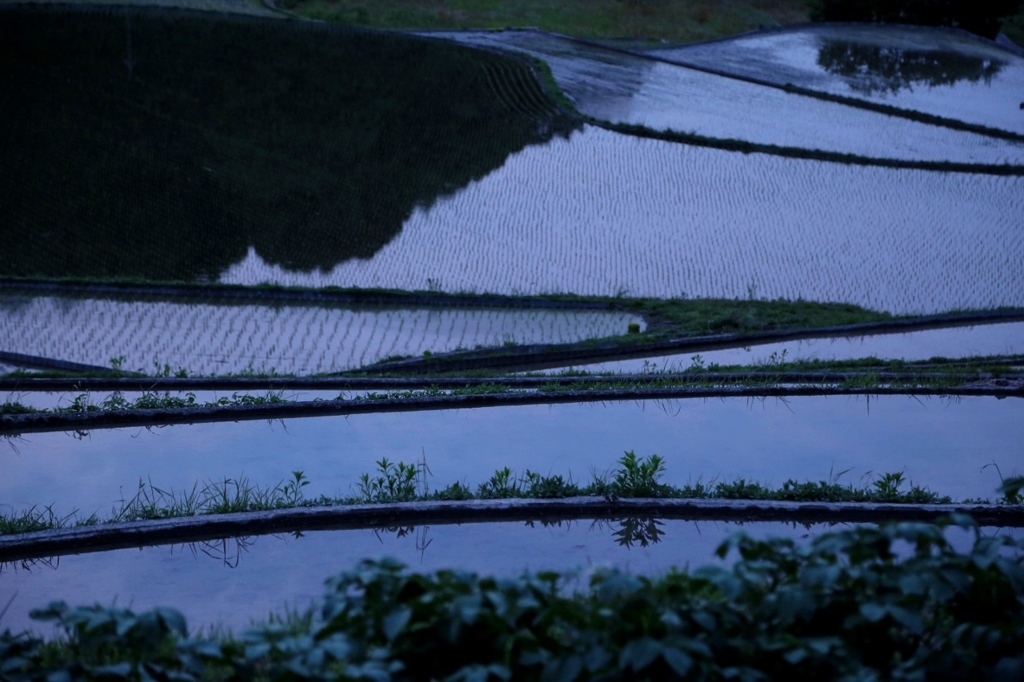 畦道