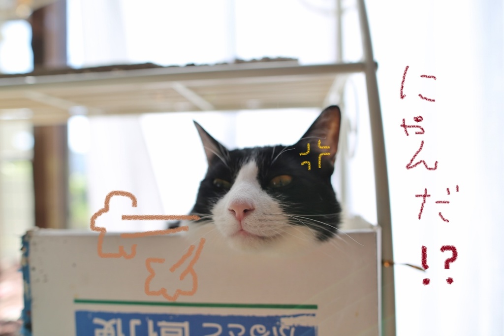 イラッとする日？