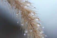 氷の宝石