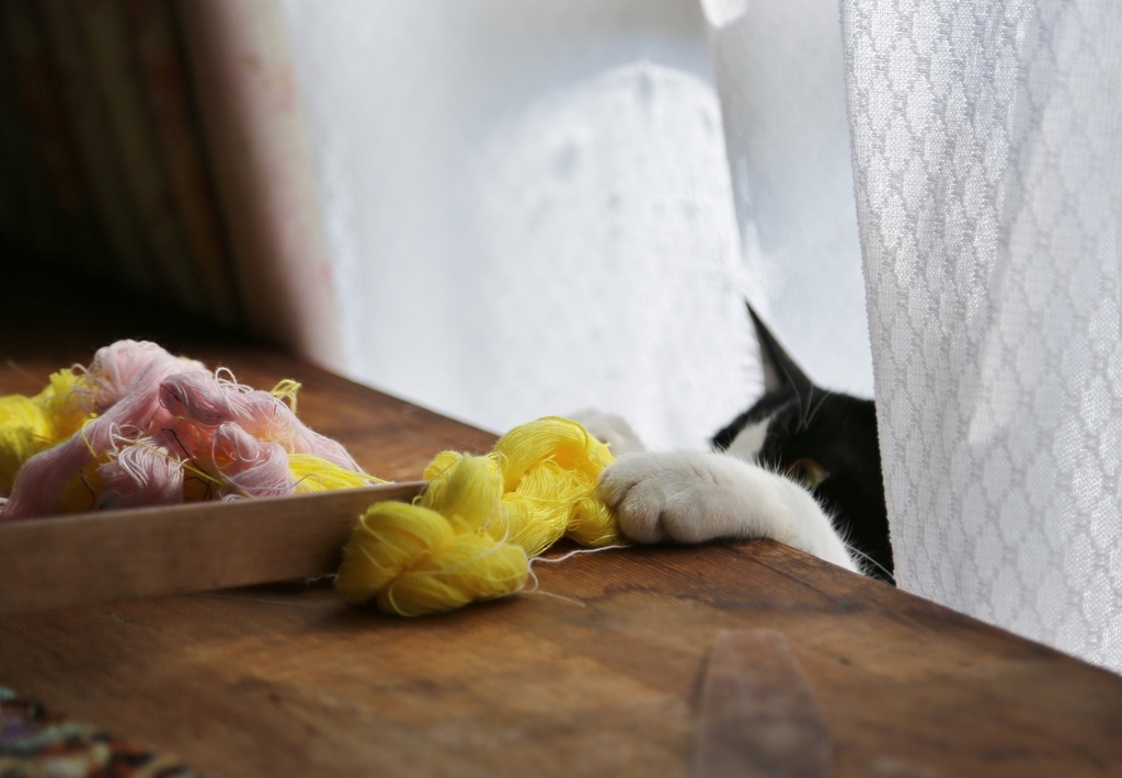 犯人は君か！１