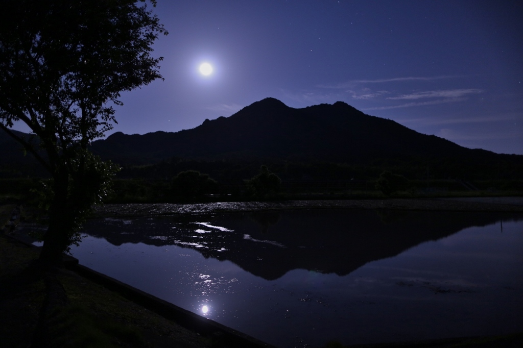 水田と満月