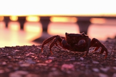 梅雨の夕暮れ　３