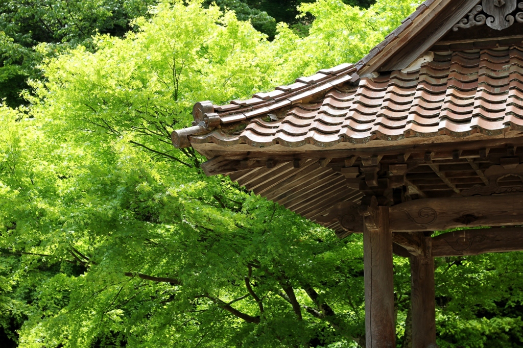 永明寺（ようめいじ）３
