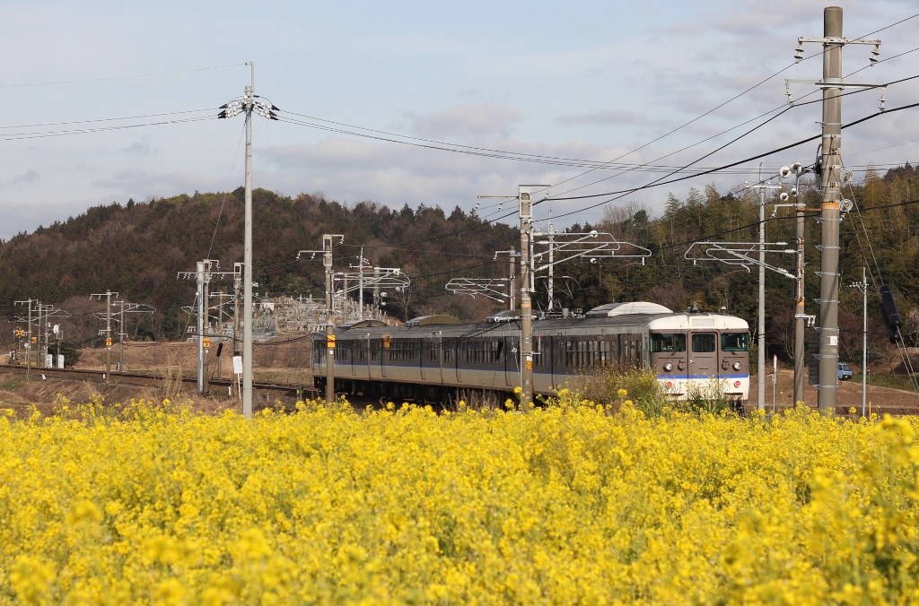 山陽本線と菜の花