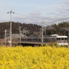 山陽本線と菜の花