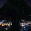 樹と町