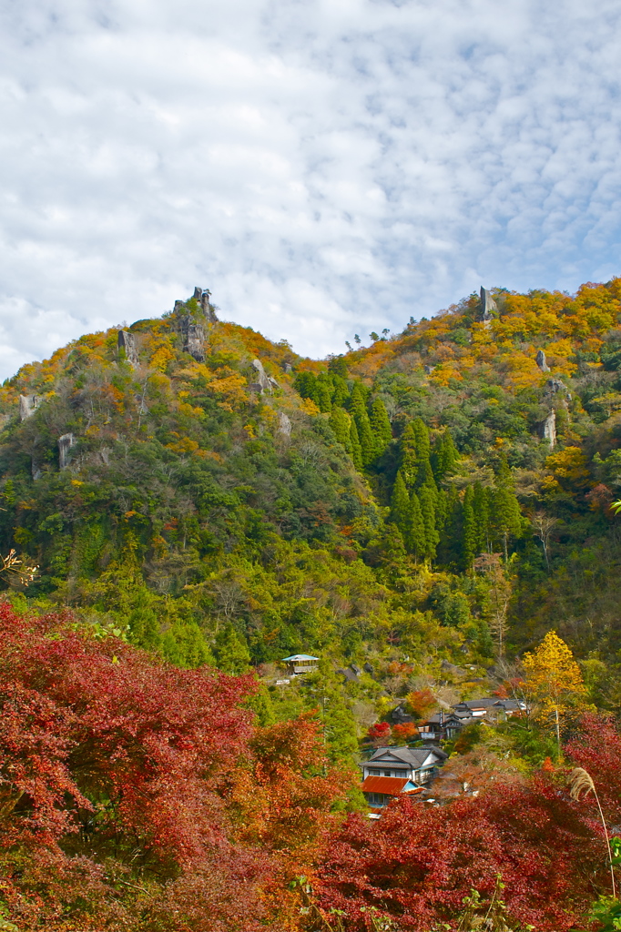 Nature autumn