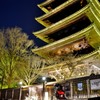 京都花灯路