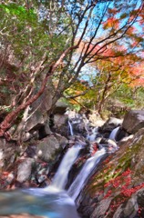 尼ん滝の紅葉