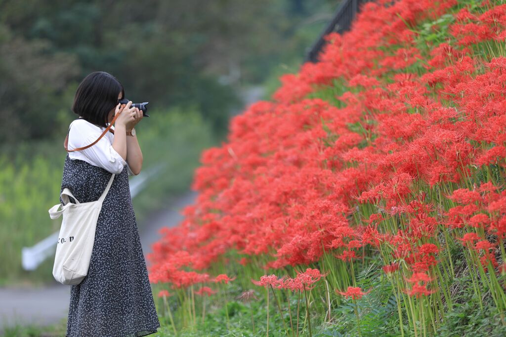 紅の壁