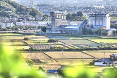 田舎の原風景