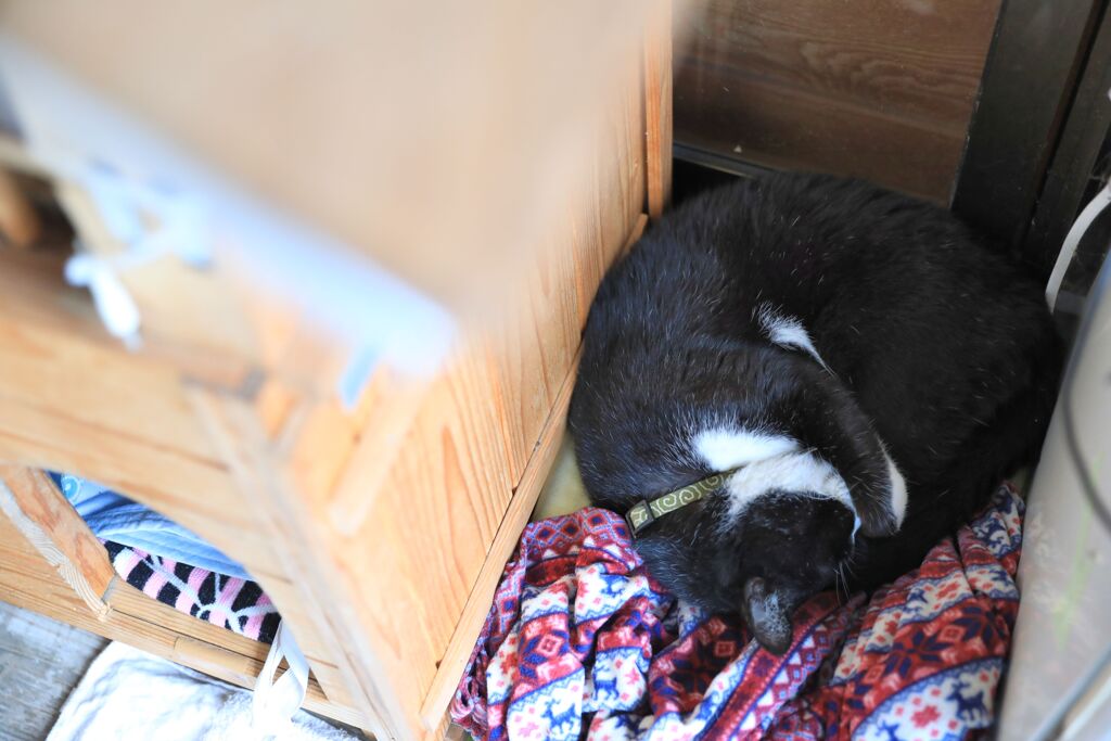 すみっこが落ち着くねん