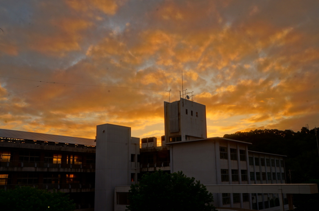 夕暮れ、それは夜の始まり