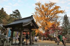 大窪寺の境内の紅葉