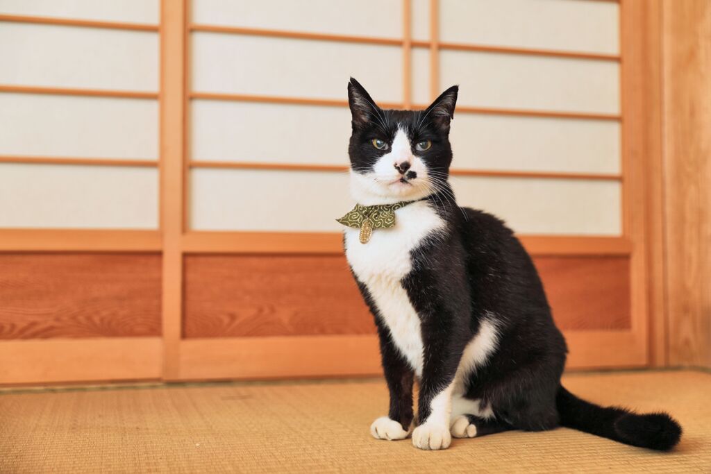 和の似合うオトコ