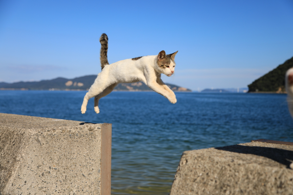 何とも言えない表情で