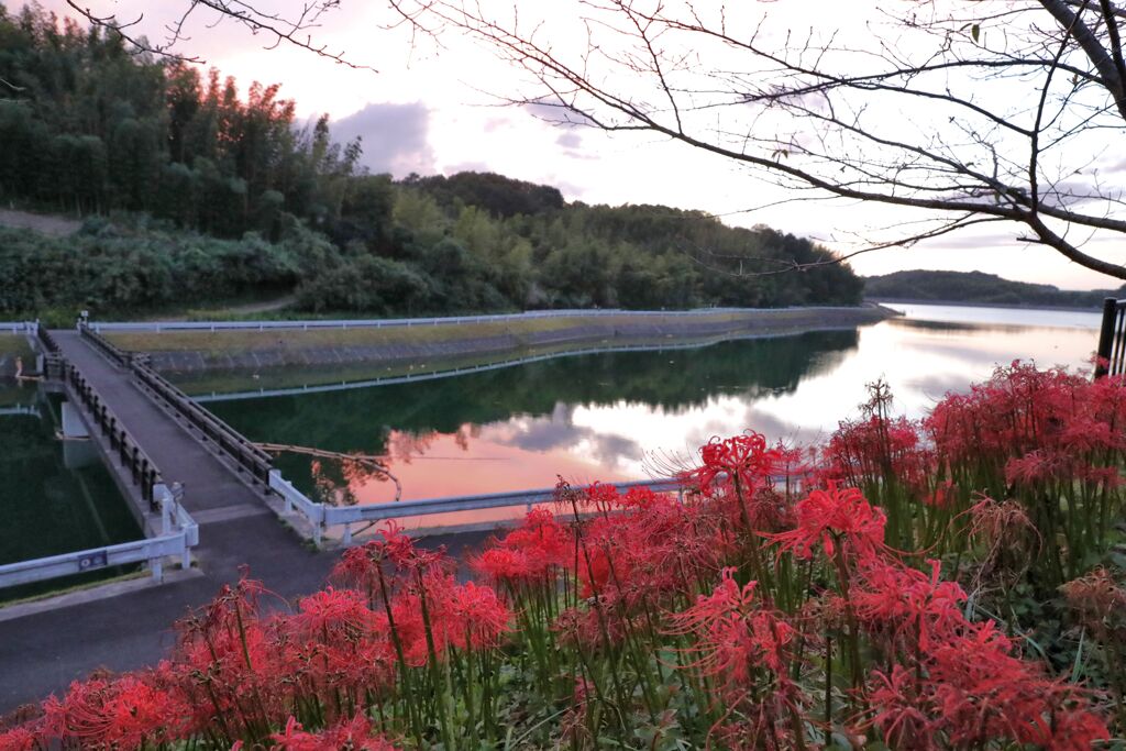 紅の湖畔