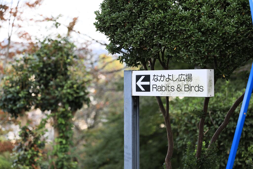 超訳
