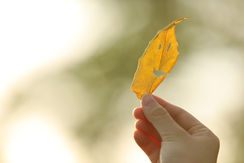 小さい秋、見ぃつけた！