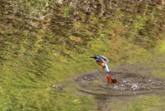 水浴び