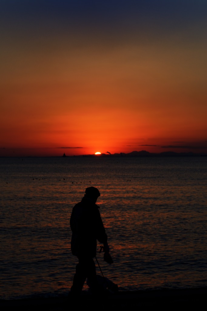 夕暮れ時の散歩