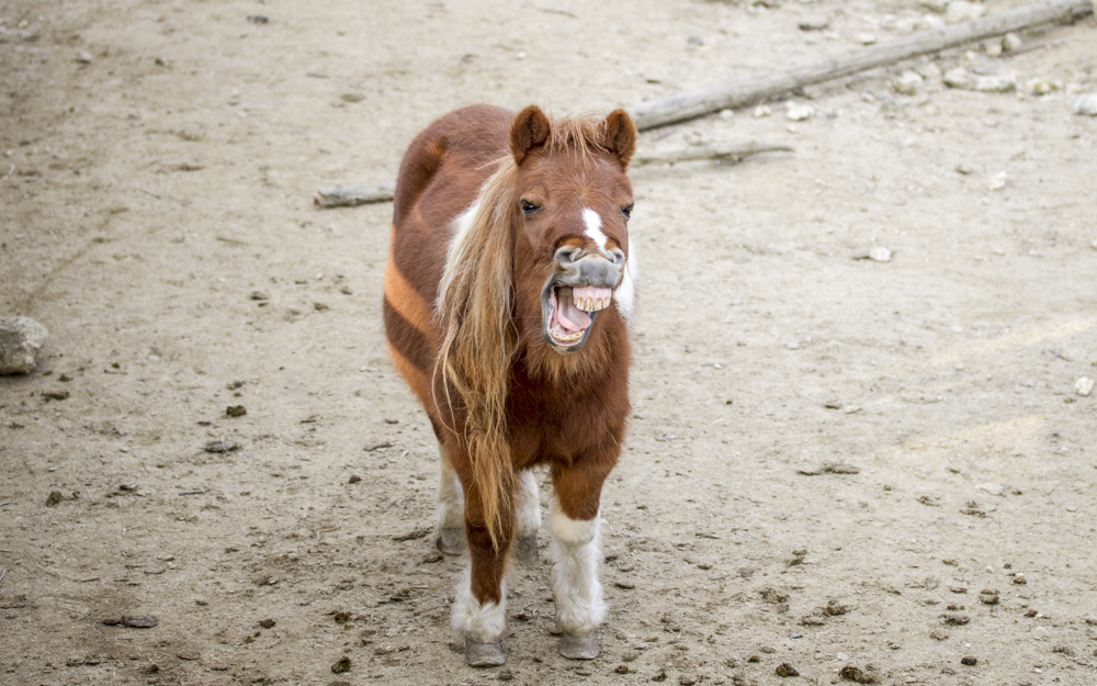 その顔いかしてるねぇ～