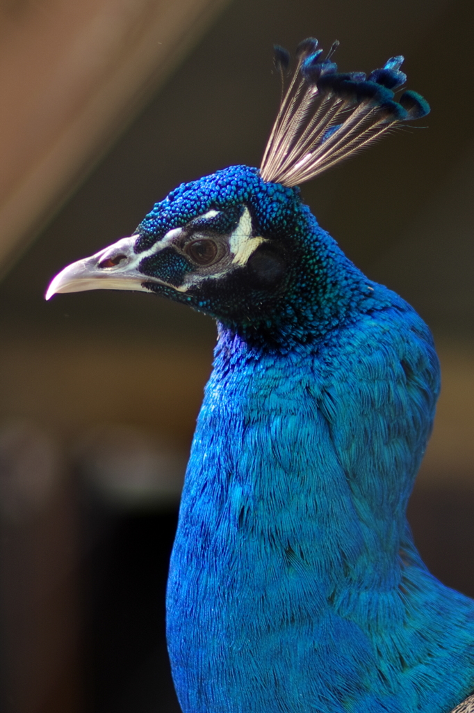 ASAHIYAMA ZOO