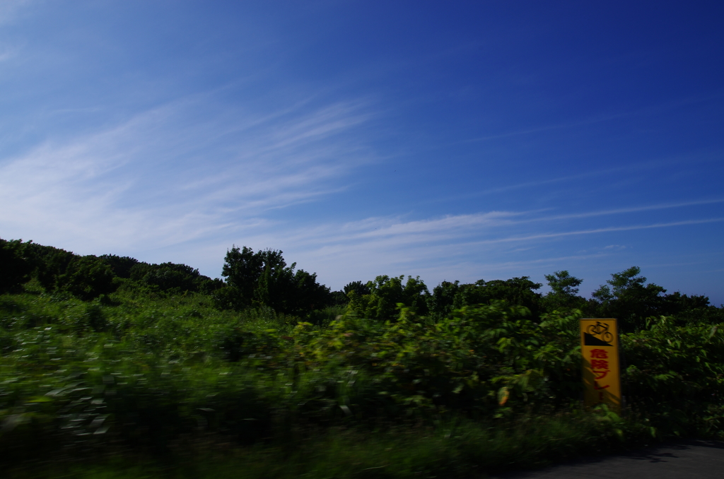 天売島