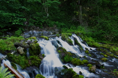 羊蹄山ふきだし湧水
