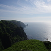 天売島