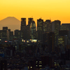 新宿と富士山夕景