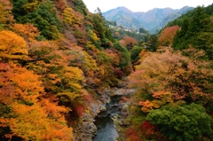 惣岳渓谷の紅葉
