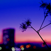 Gradation