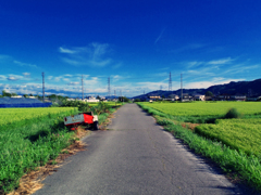 信州の空