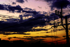 電線の交叉する夕日