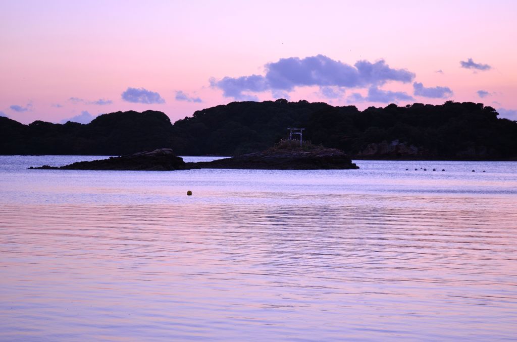 紫色に染まる孤島の鳥居