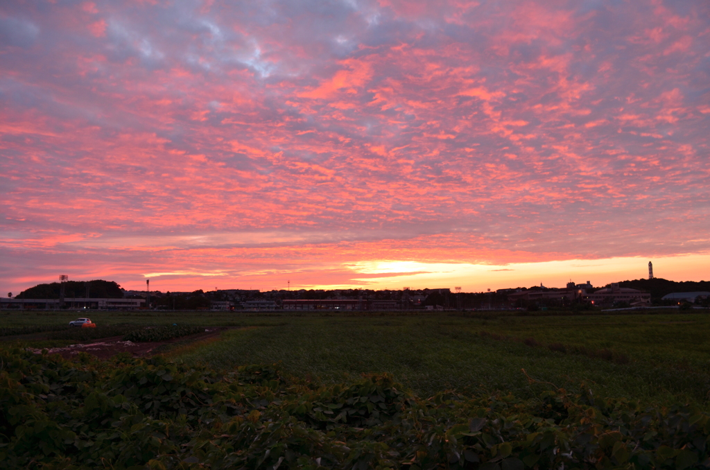 夕焼け＆ウロコ雲