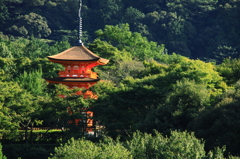 清水の舞台より