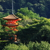 清水の舞台より