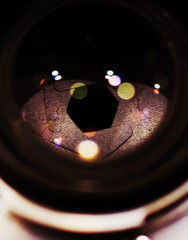 EYE